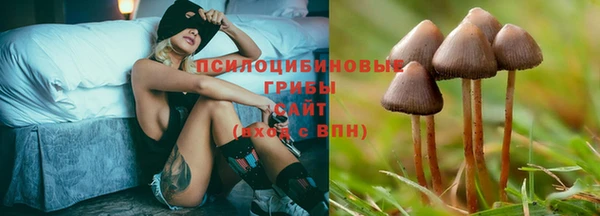 крисы Алексеевка