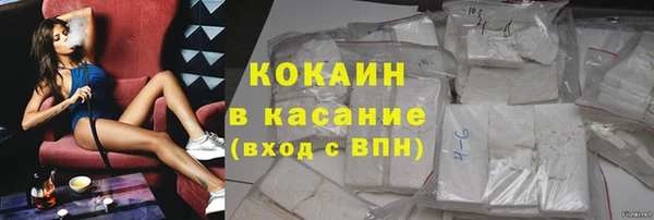 мдпв Каменка