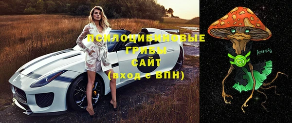 прущие крисы Алексин