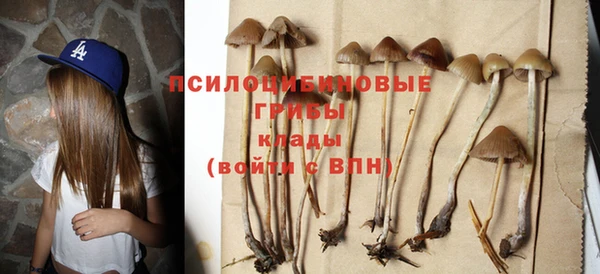 крисы Алексеевка