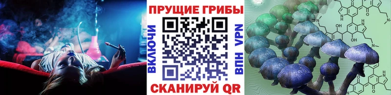Галлюциногенные грибы MAGIC MUSHROOMS  где найти   Разумное 