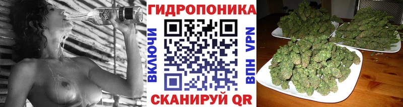 Канабис ГИДРОПОН  Разумное 